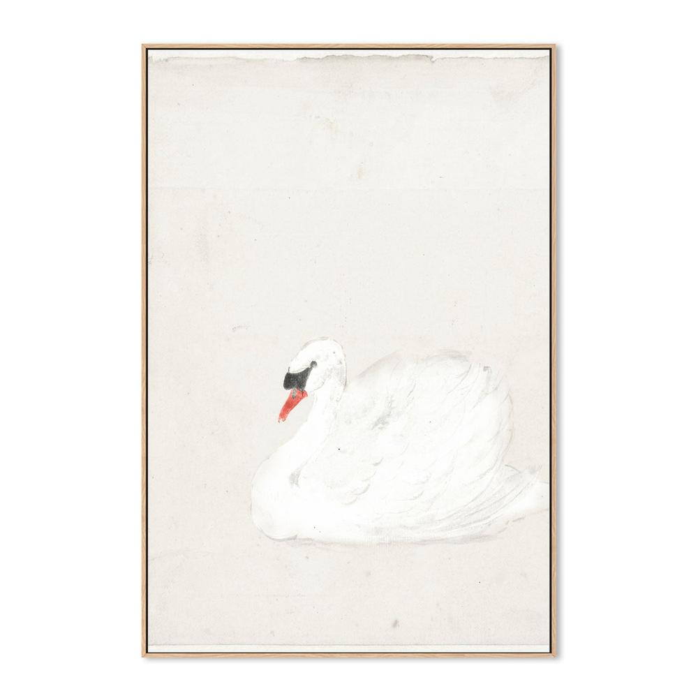 wall-art-print-canvas-poster-framed-Vintage Swan Illustration , By Leah Straatsma-4