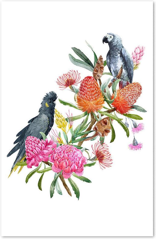 wall-art-print-canvas-poster-framed-Watercolour Australian Floral Bouquet, Banksias Flowers, Eucalyptus, Grey Parrot And Black Cockatoo.-by-Gioia Wall Art-Gioia Wall Art