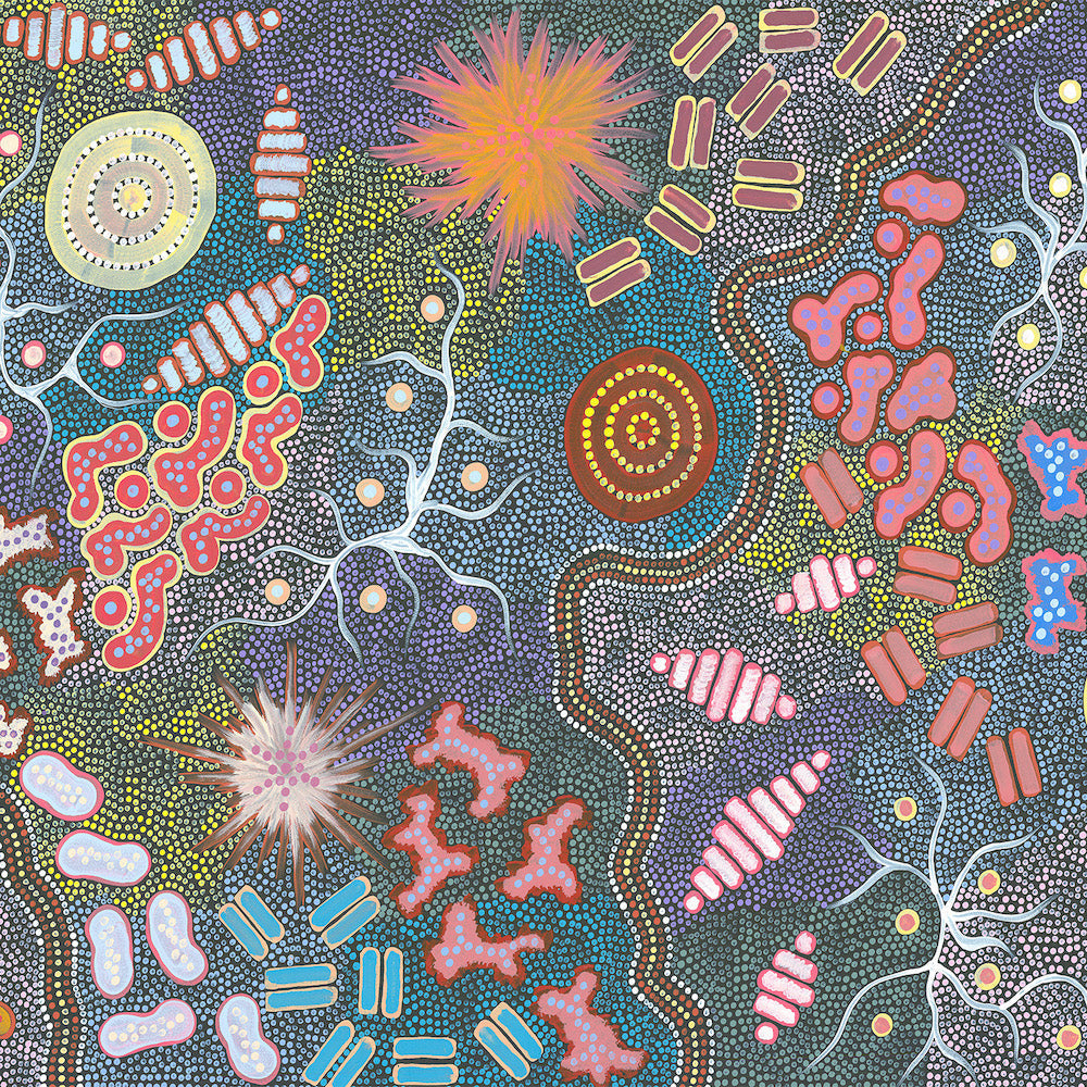 Waterhole Bush Tucker Dreaming Style A By Azeza Possum Aboriginal Painting Print