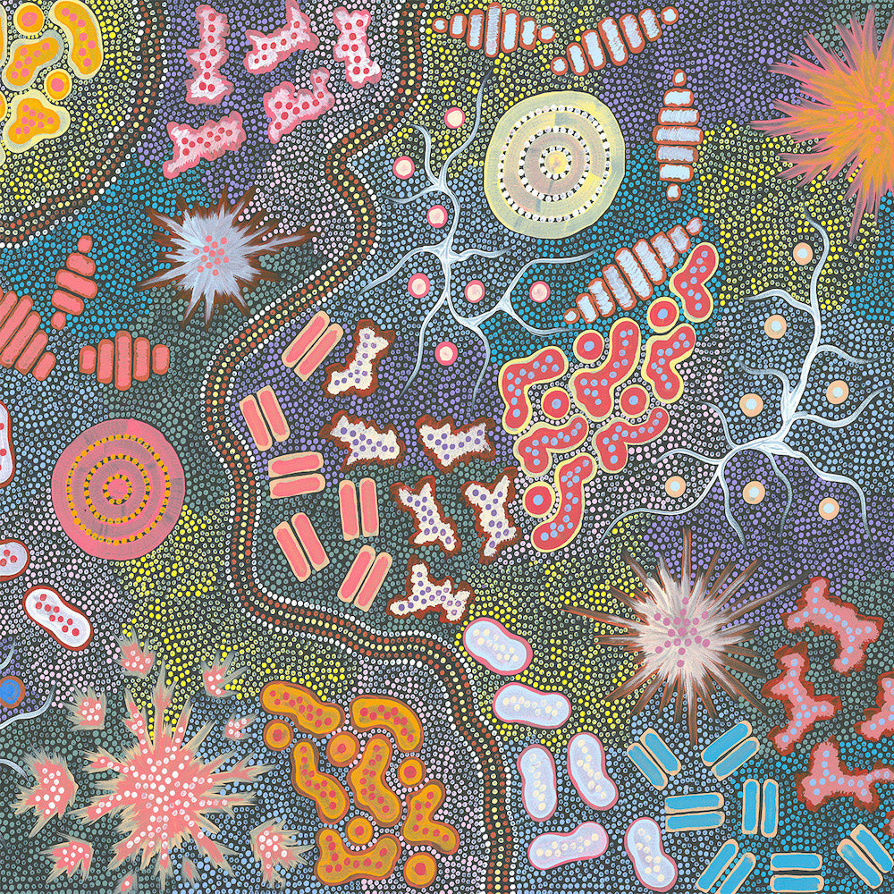 Waterhole Bush Tucker Dreaming Style A By Azeza Possum Aboriginal Painting Print