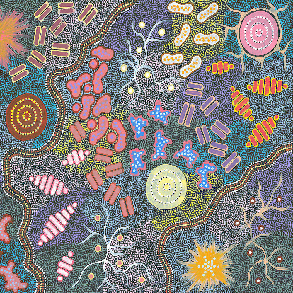 Waterhole Bush Tucker Dreaming Style A By Azeza Possum Aboriginal Painting Print