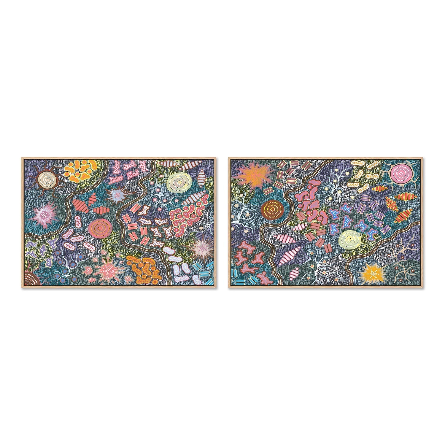 wall-art-print-canvas-poster-framed-Waterhole Bush Tucker Dreaming, Style A & B, Set Of 2 , By Azeza Possum-GIOIA-WALL-ART