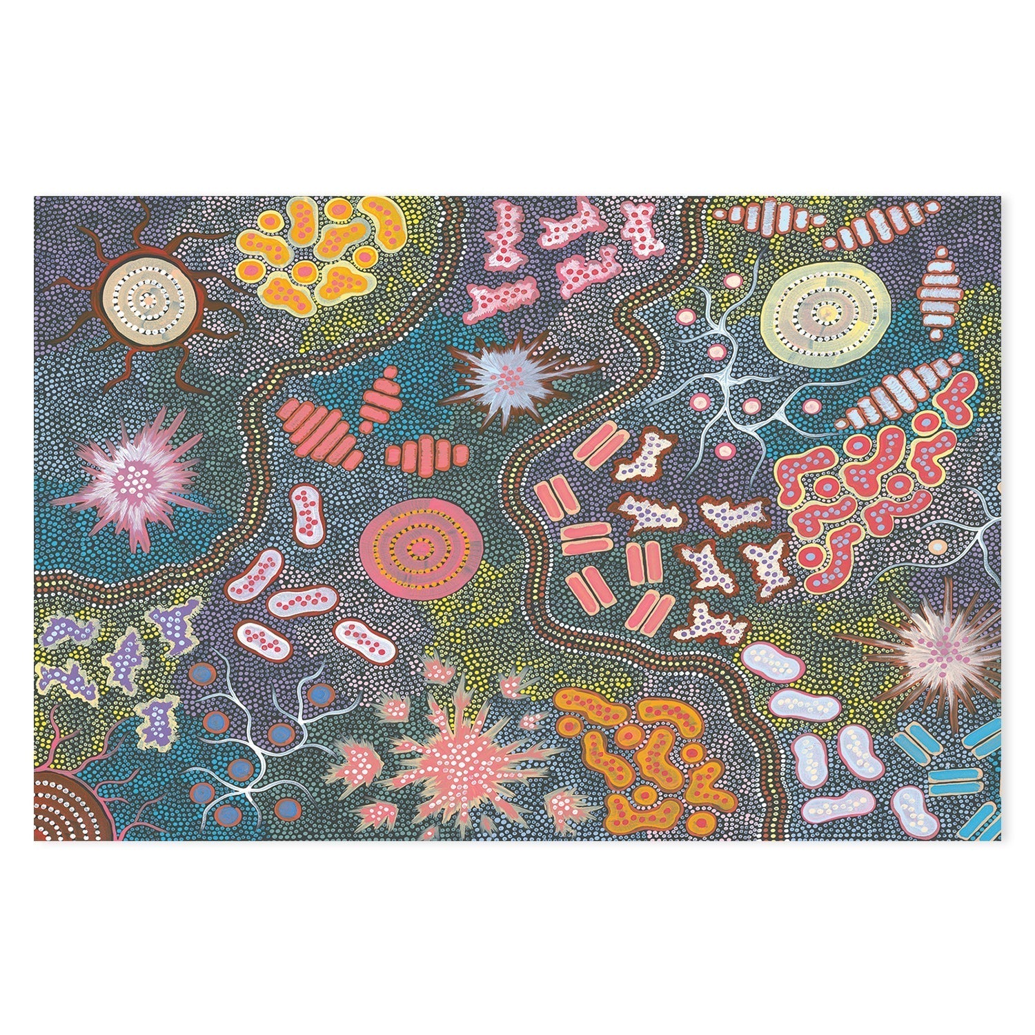 wall-art-print-canvas-poster-framed-Waterhole Bush Tucker Dreaming, Style A & B, Set Of 2 , By Azeza Possum-GIOIA-WALL-ART