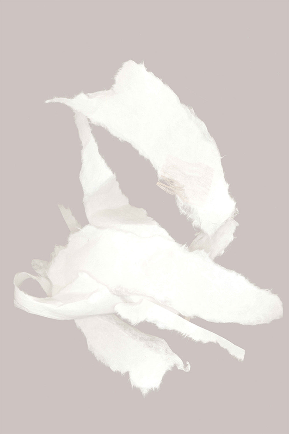 wall-art-print-canvas-poster-framed-Whispering Paper, Style C-1