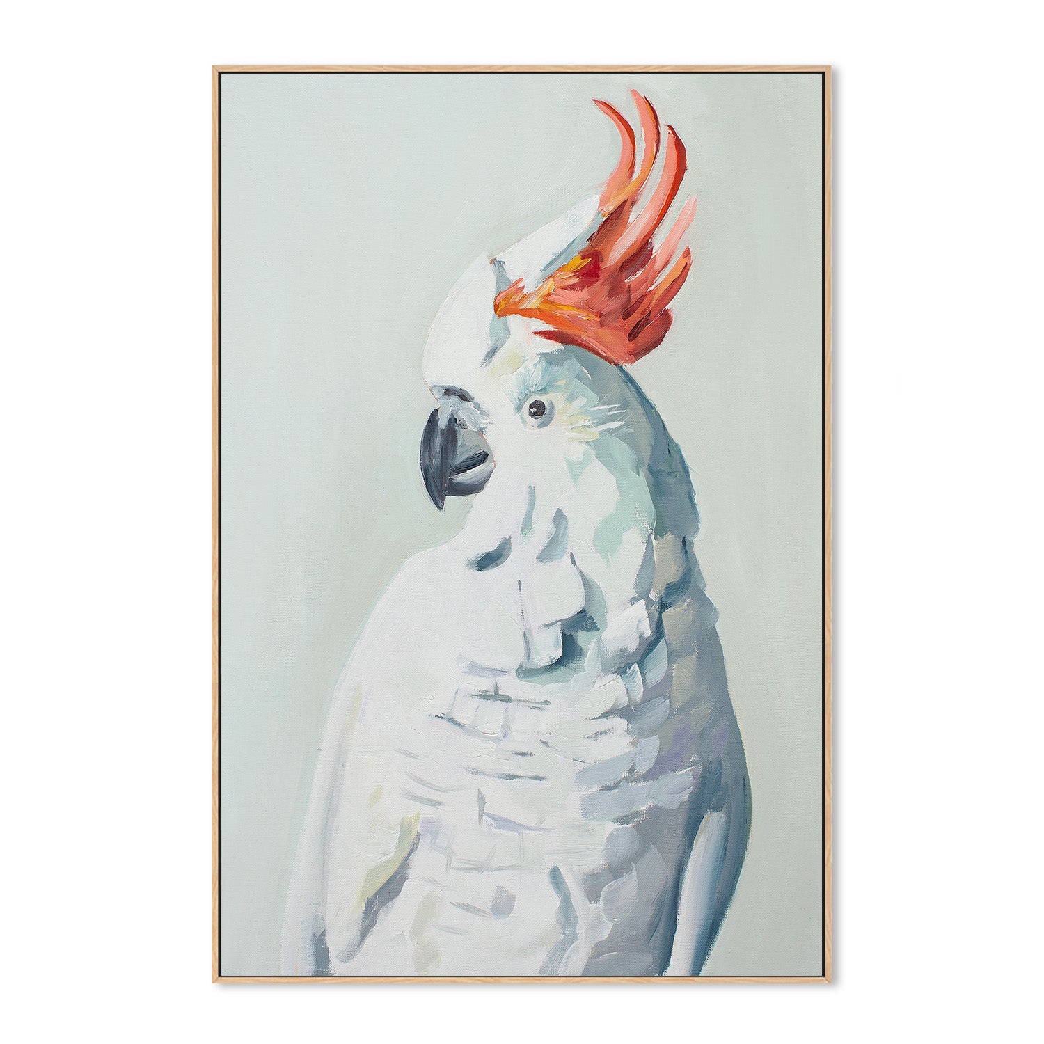 wall-art-print-canvas-poster-framed-White Cockadoo , By Jenny Westenhofer Art-4