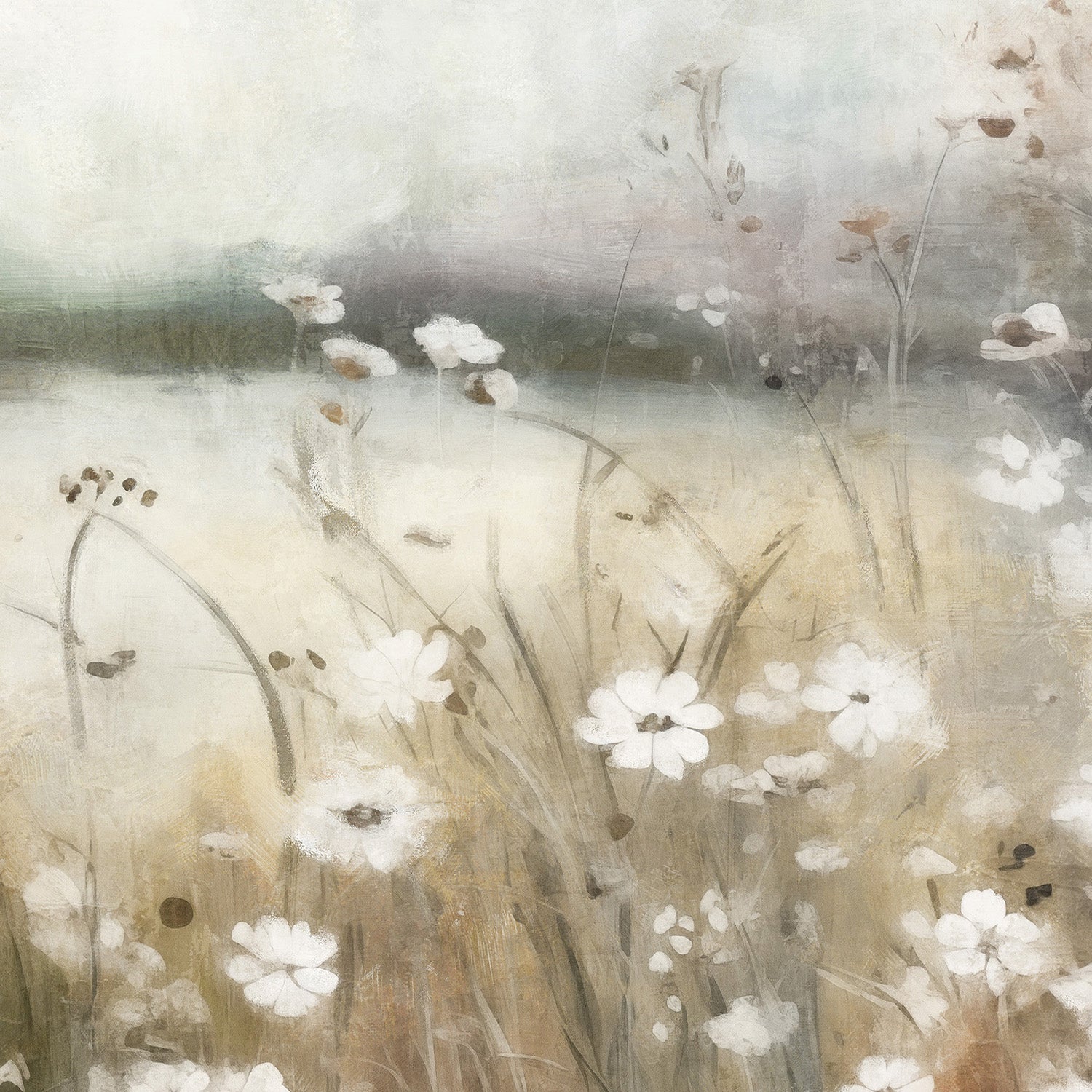 wall-art-print-canvas-poster-framed-White Flower Field, Style B-11