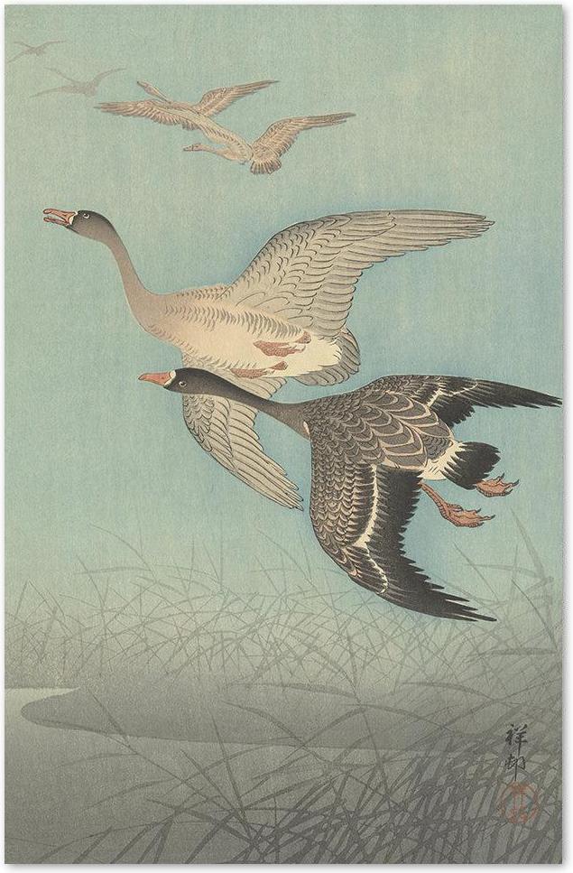 wall-art-print-canvas-poster-framed-White-Fronted Geese In Flight, 1925-36, By Ohara Koson-by-Gioia Wall Art-Gioia Wall Art