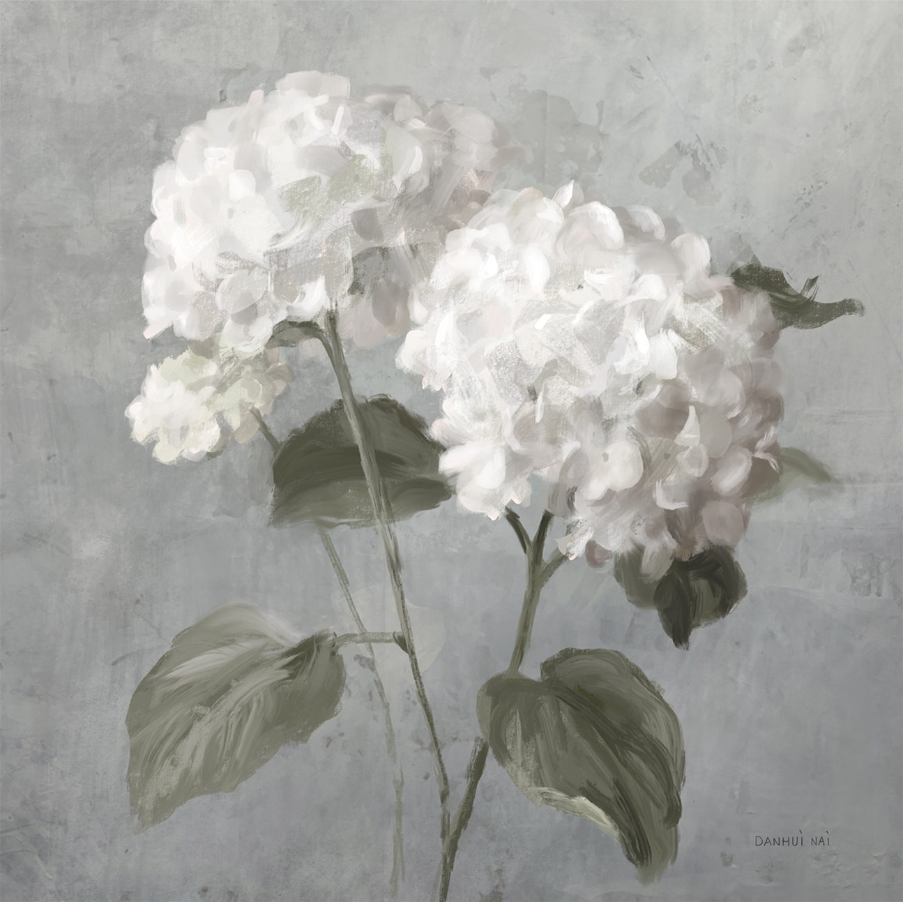 wall-art-print-canvas-poster-framed-White Hydrangeas , By Danhui Nai-1