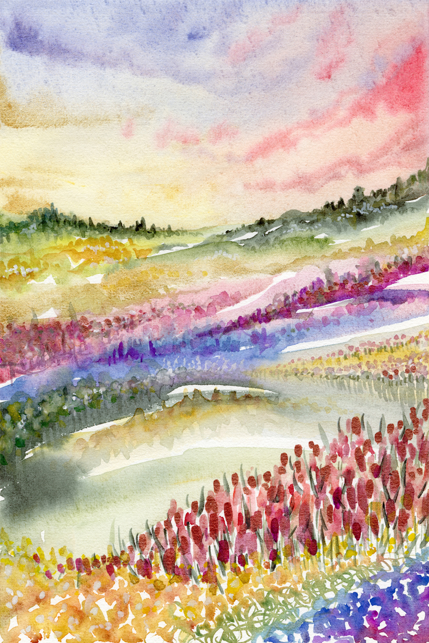 wall-art-print-canvas-poster-framed-Wildflower Watercolour , By Jessie Mitchelson-GIOIA-WALL-ART