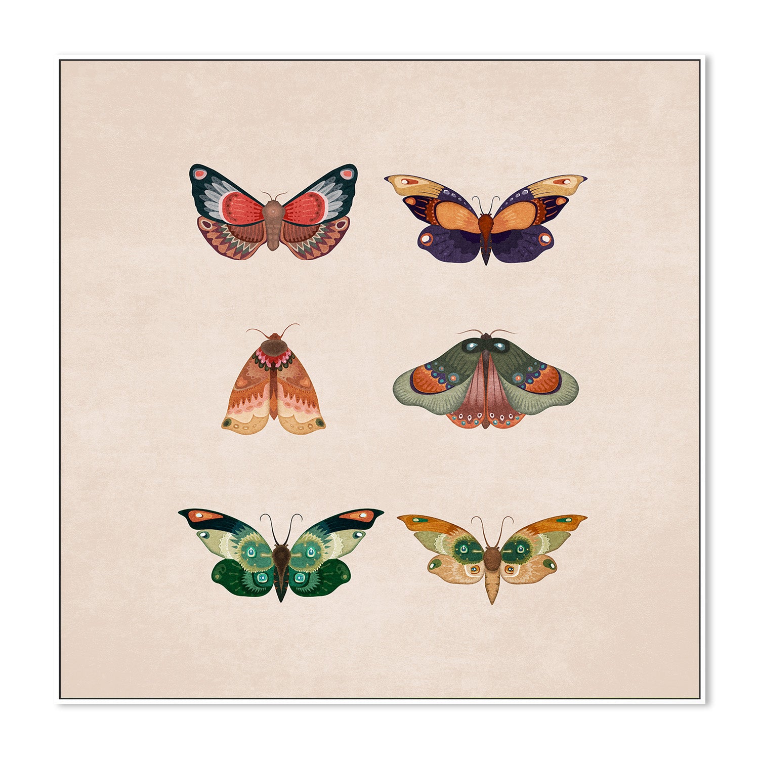 wall-art-print-canvas-poster-framed-Winged Elegance-5