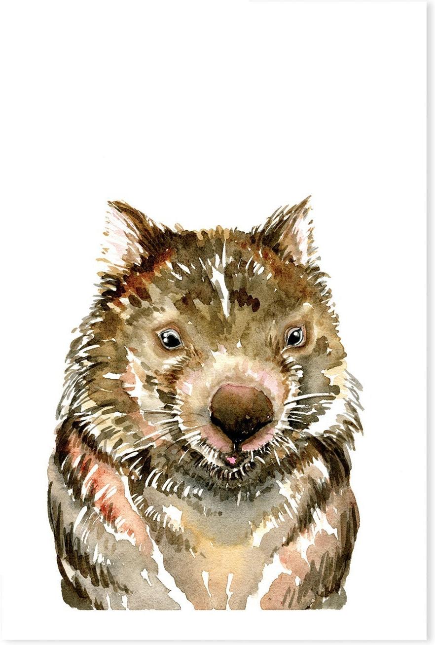 wall-art-print-canvas-poster-framed-Wombat , By Jessie Mitchelson-GIOIA-WALL-ART