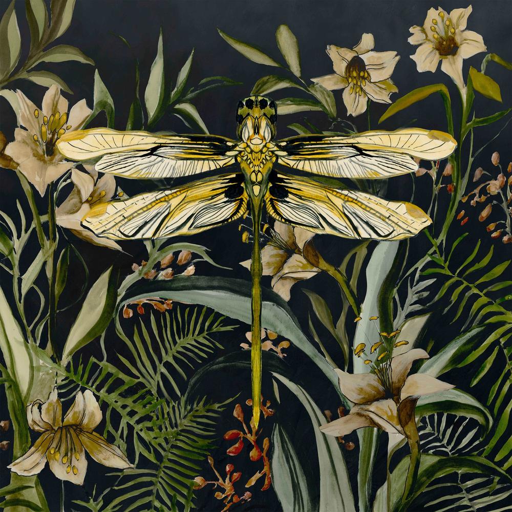 Whispers of the Dragonfly-by-Jacob Q-wall-art-print-canvas-poster-framed-Gioia