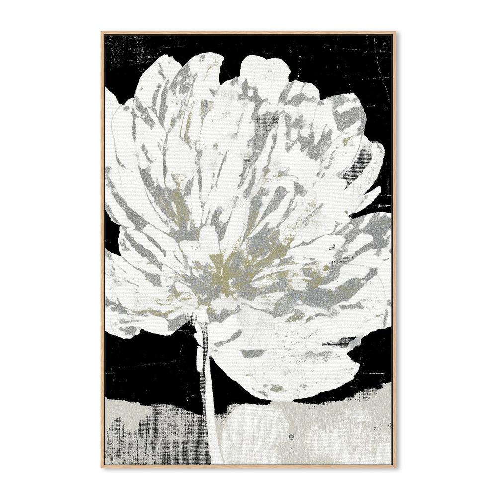 White Peony on Deep Black-by-Chromatic Storm Studio-wall-art-print-canvas-poster-framed-Gioia