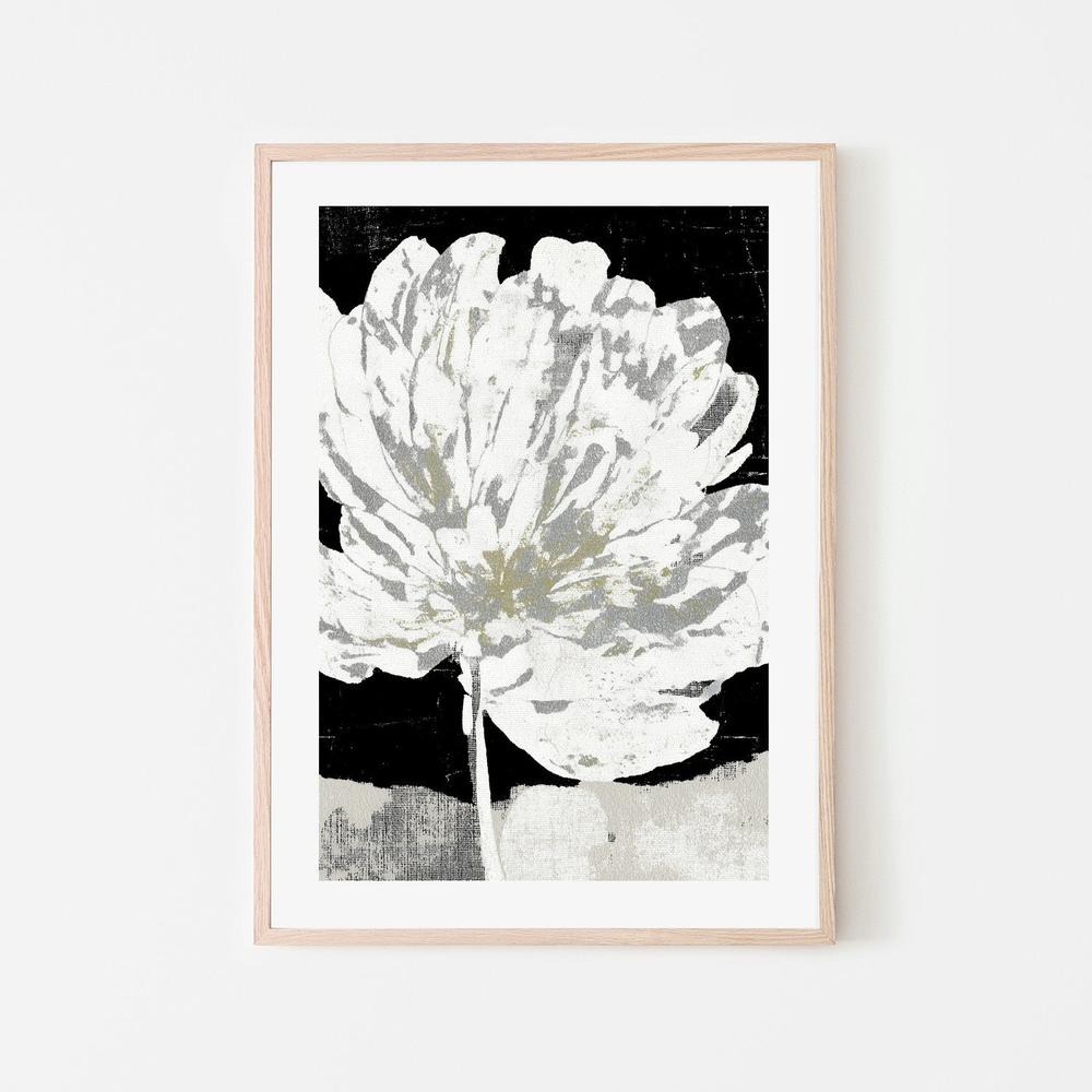 White Peony on Deep Black-by-Chromatic Storm Studio-wall-art-print-canvas-poster-framed-Gioia