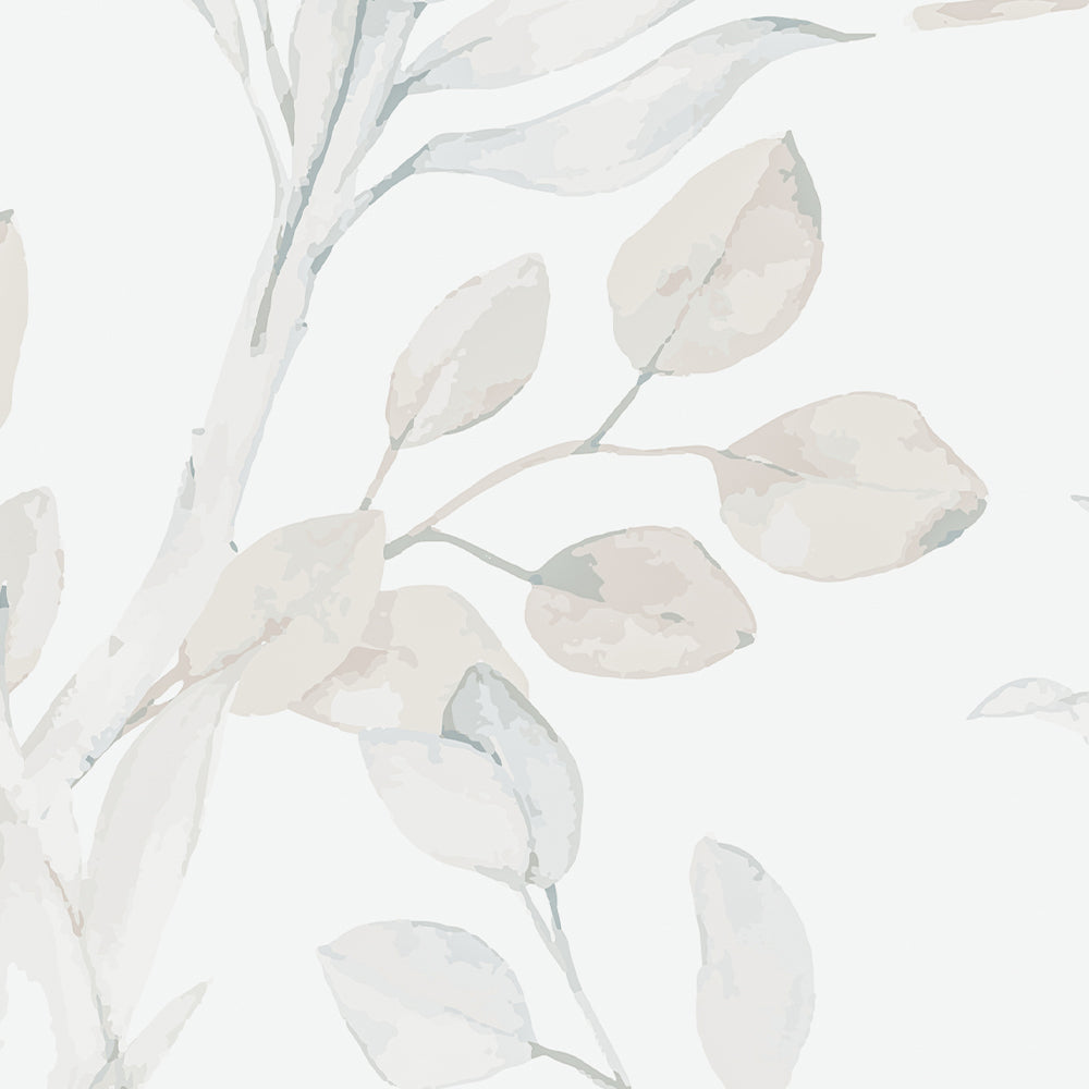 Beige Protea
