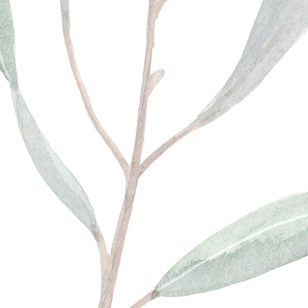 Green Eucalyptus Leaves