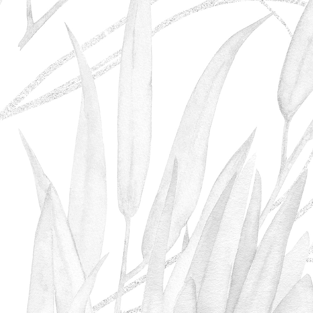 Black And White Protea