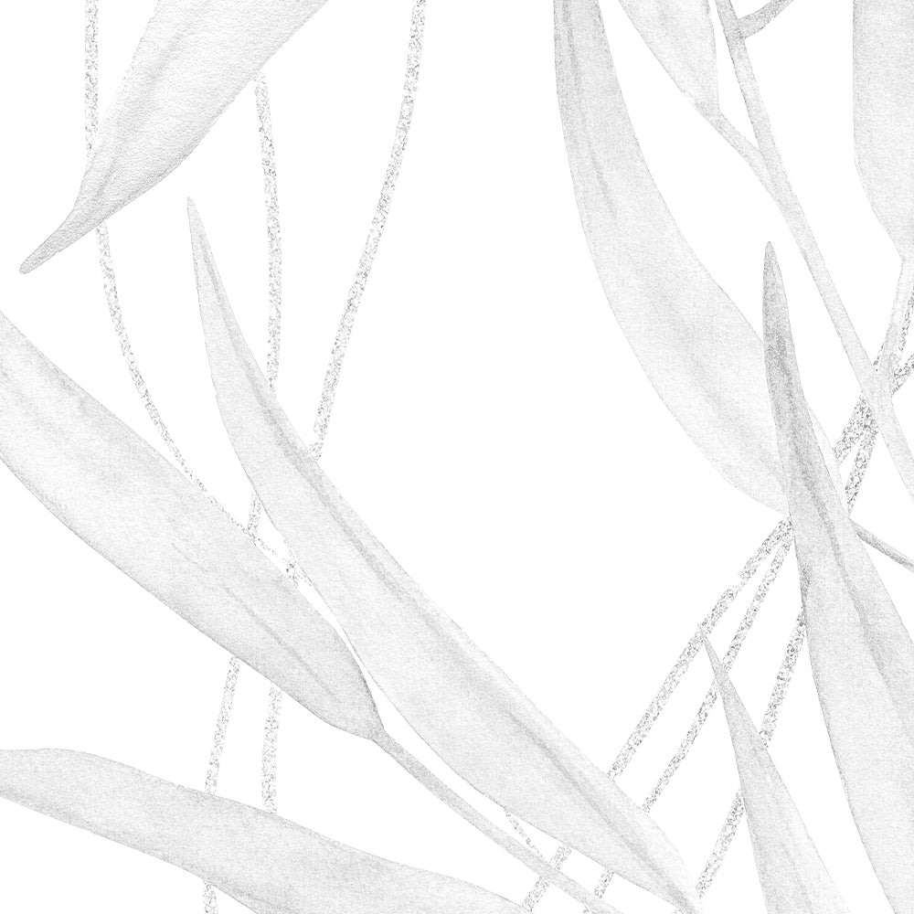 Black And White Protea