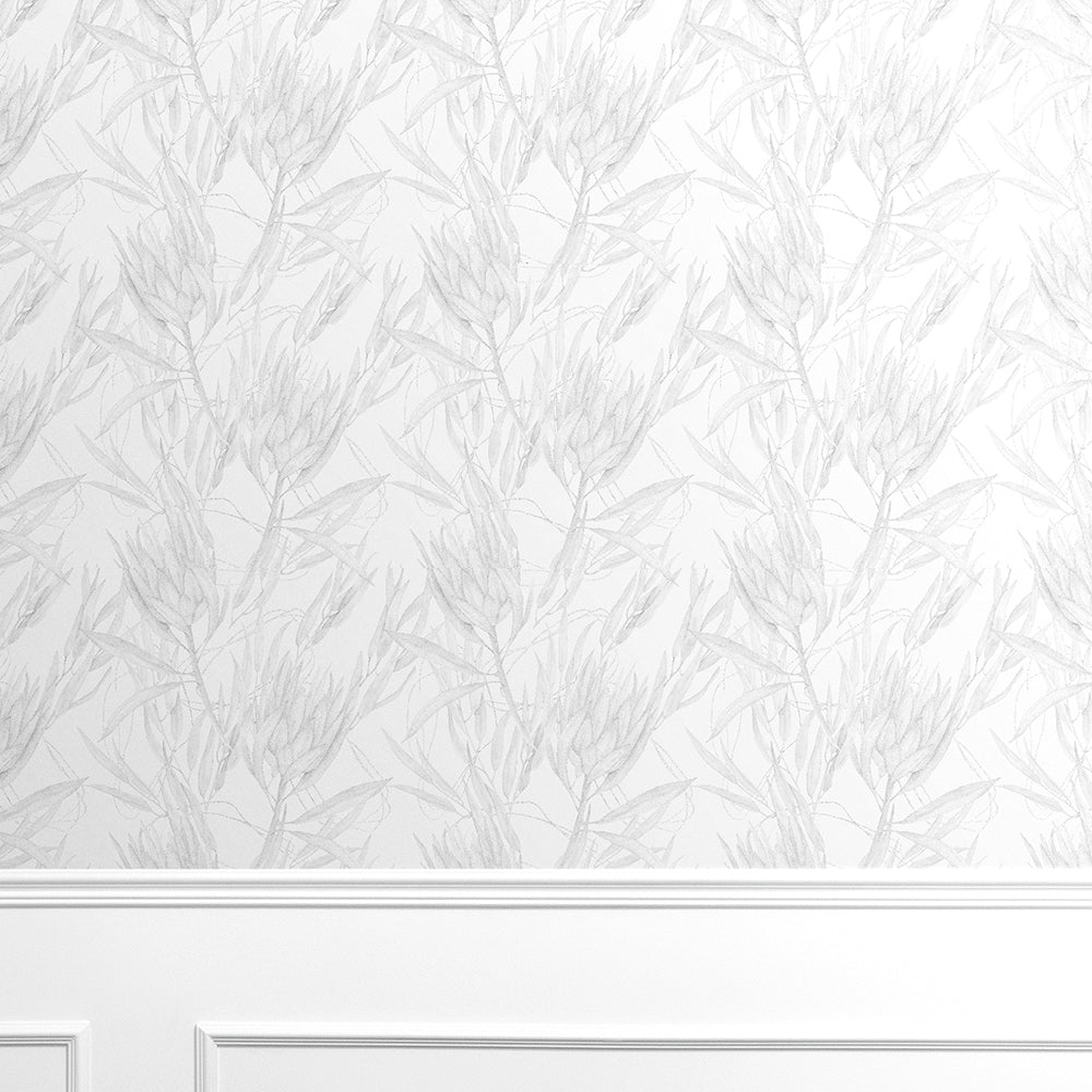 Black And White Protea