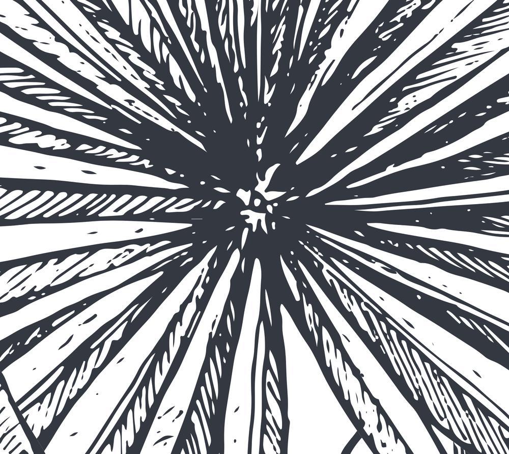 Sketched Botanicals-wallpaper-eco-friendly-easy-removal-GIOIA-WALL-ART