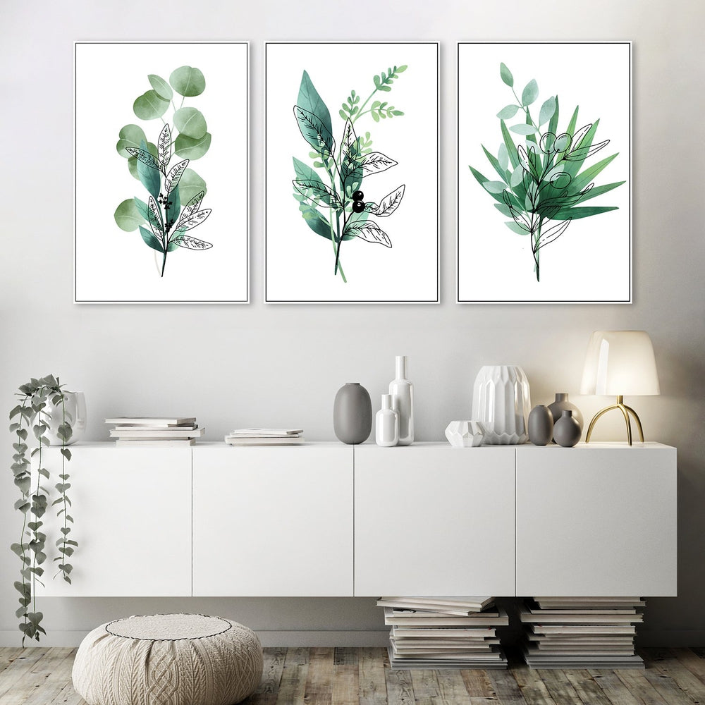 The Zoologist's Sketchbook