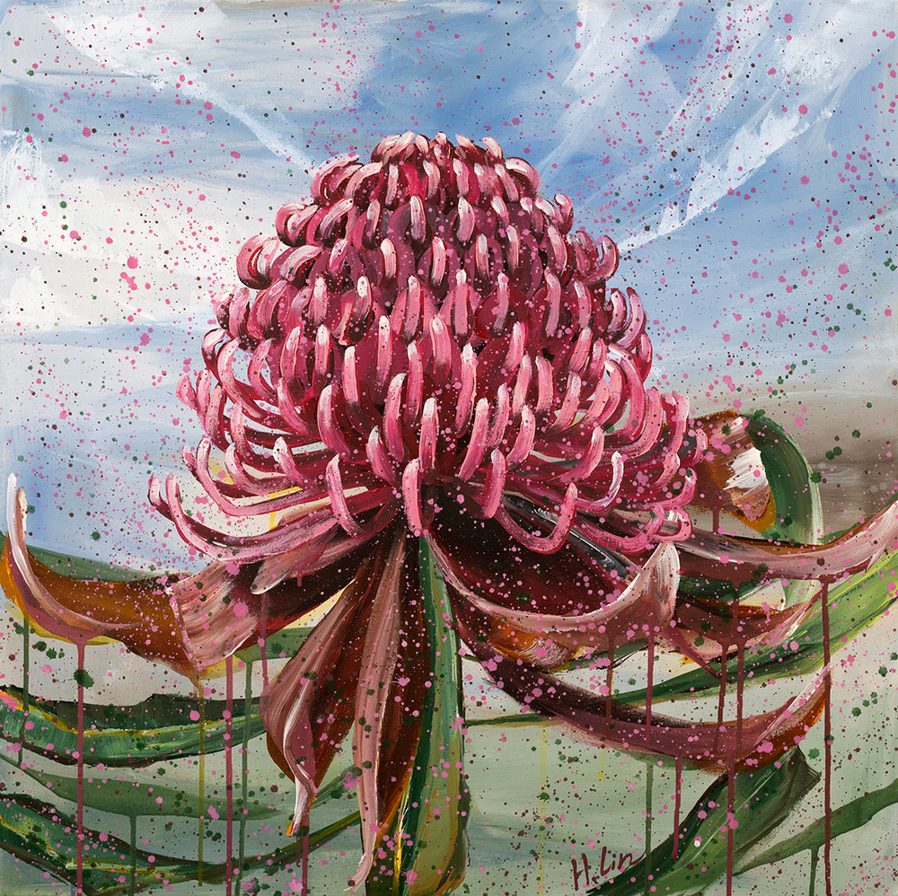 Bright Red Waratah