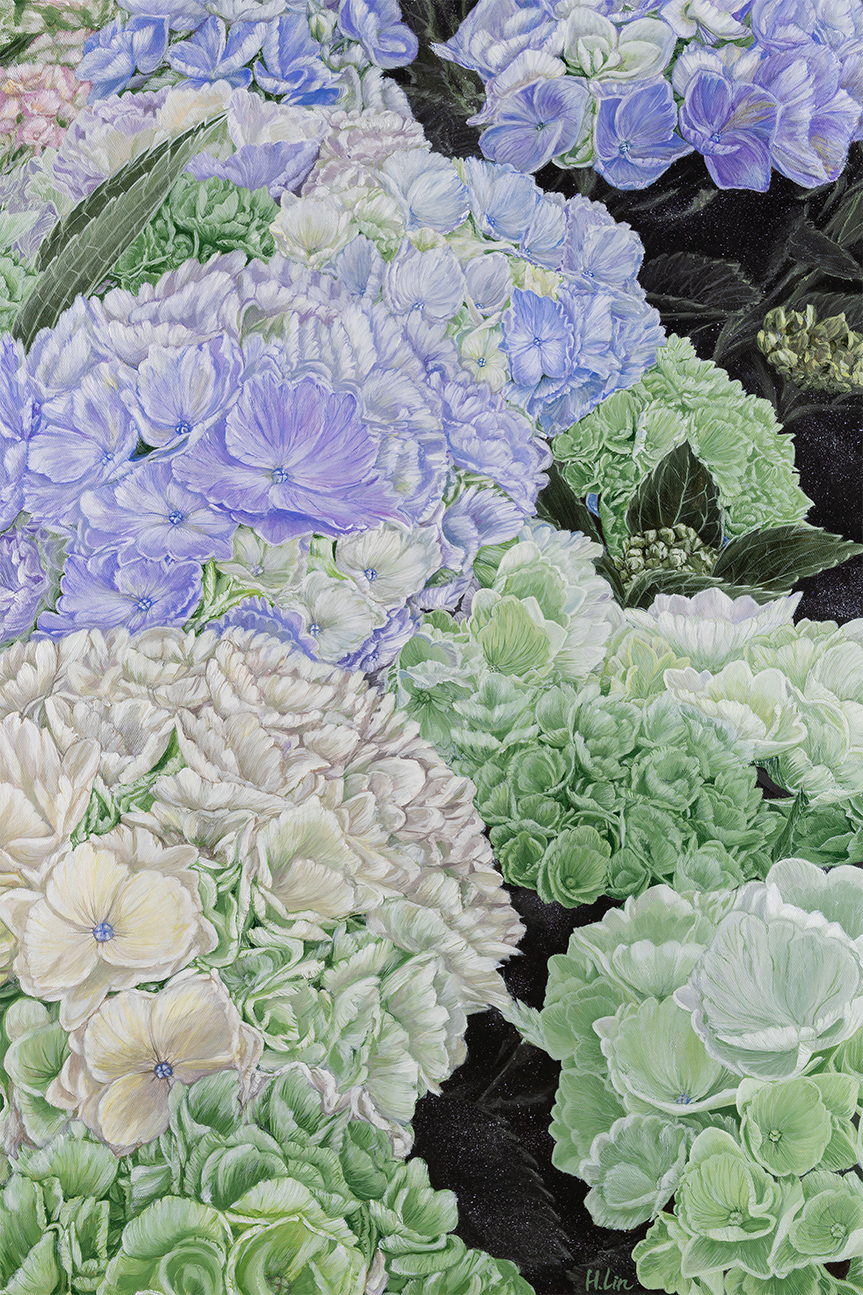 Premium Hydrangea