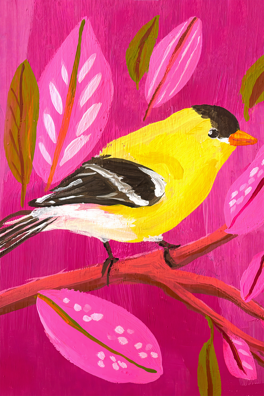 American Goldfinch