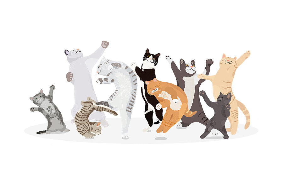 Dancing Cat