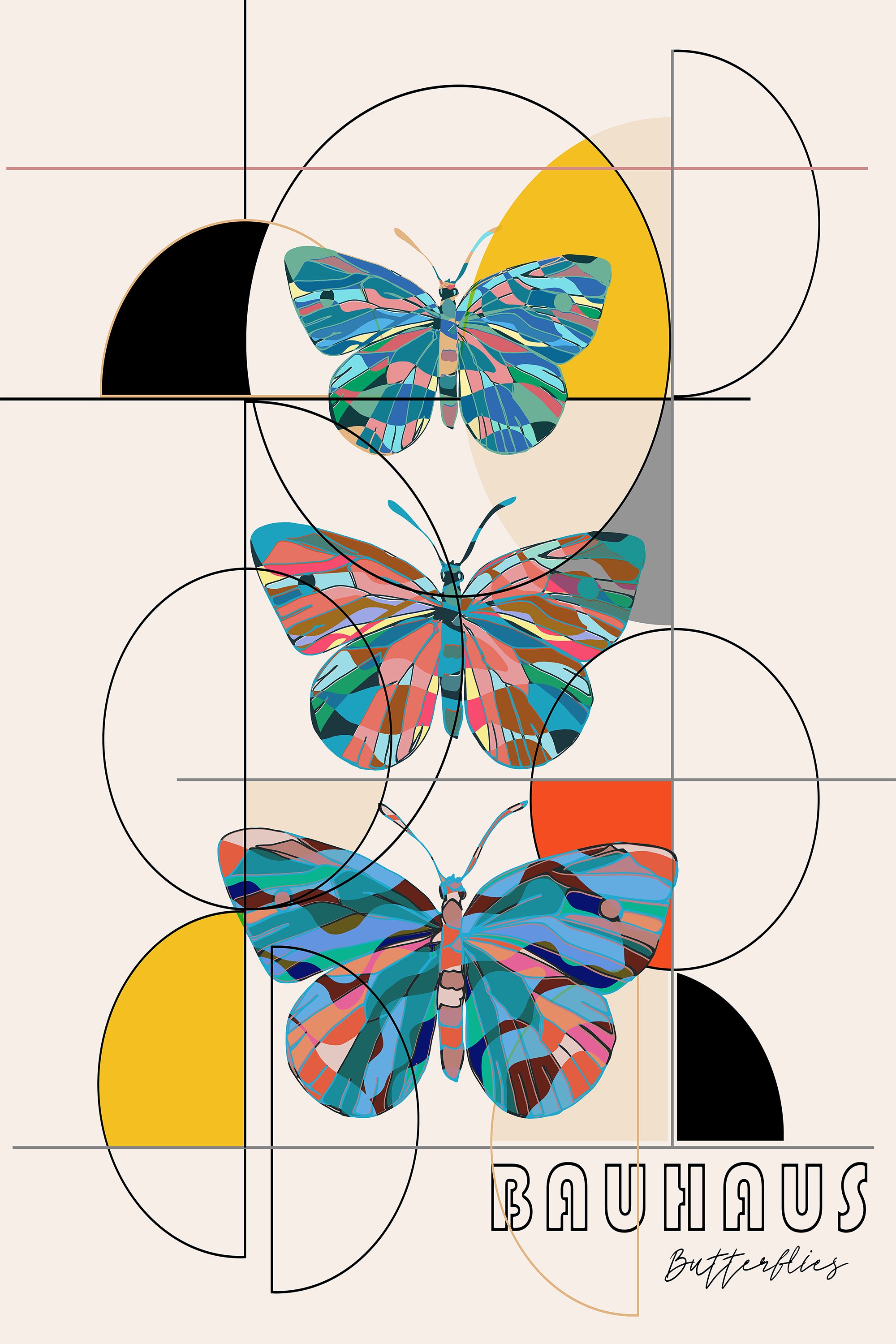 Colorful Geometric Butterflies