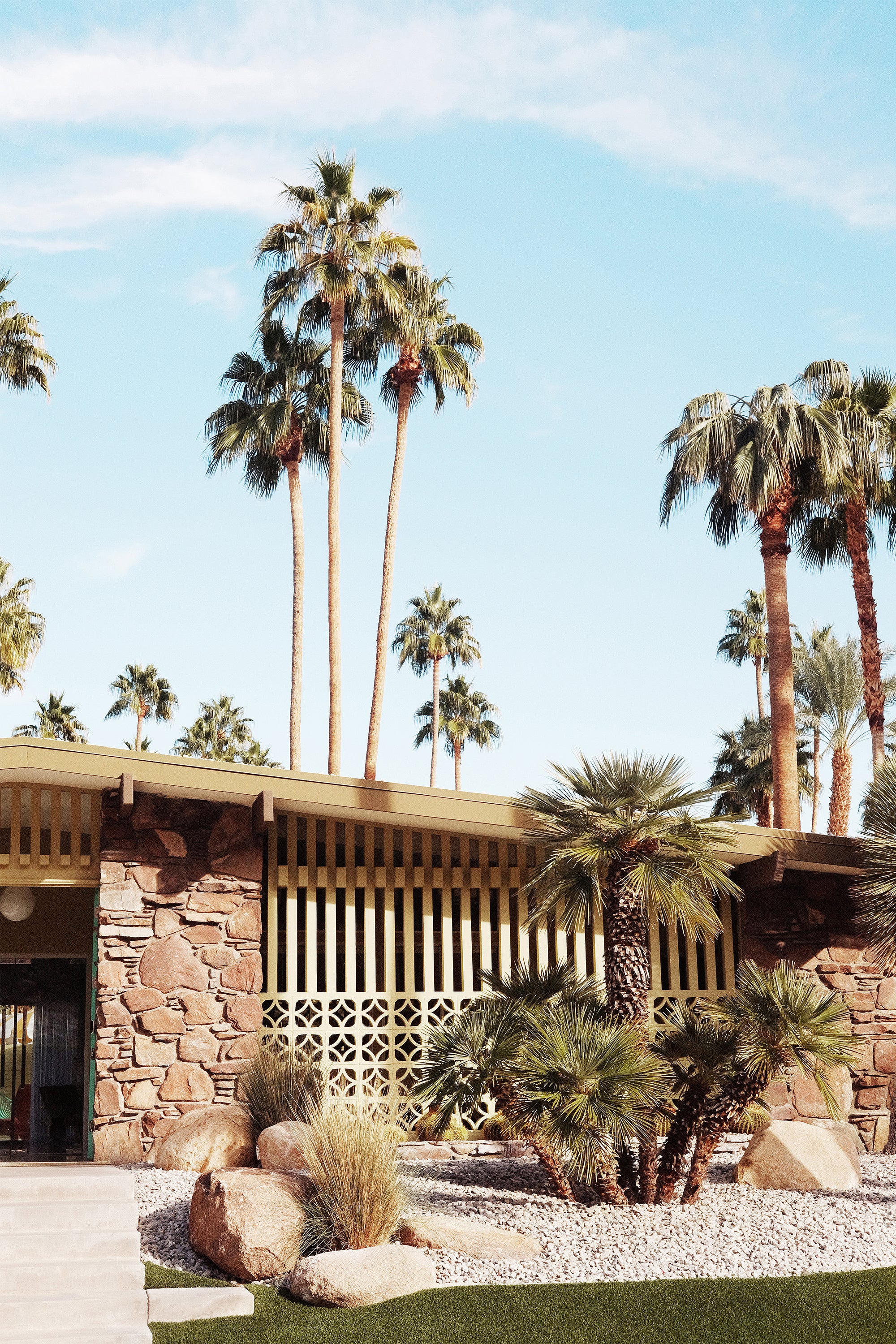 Summer Day At Palm Springs