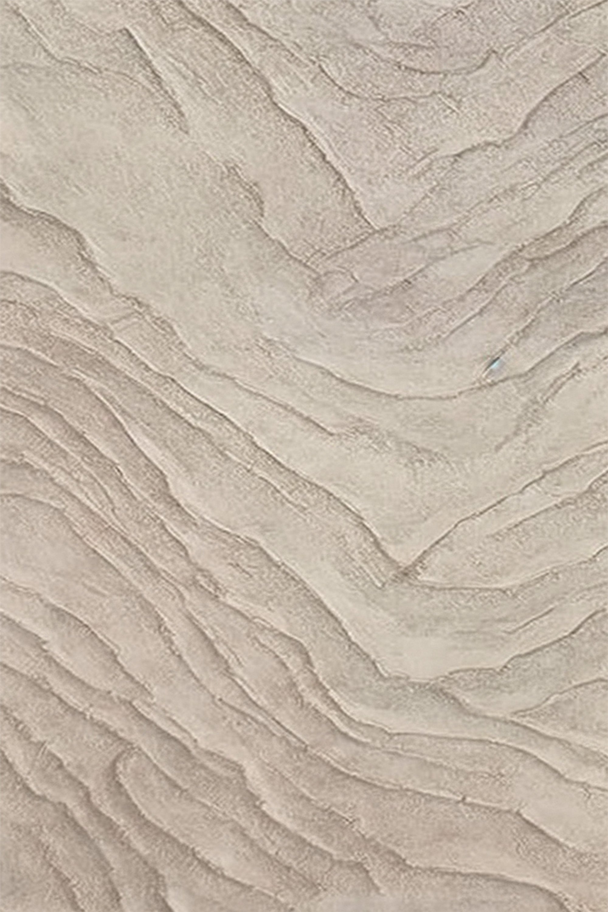 Desert Echo