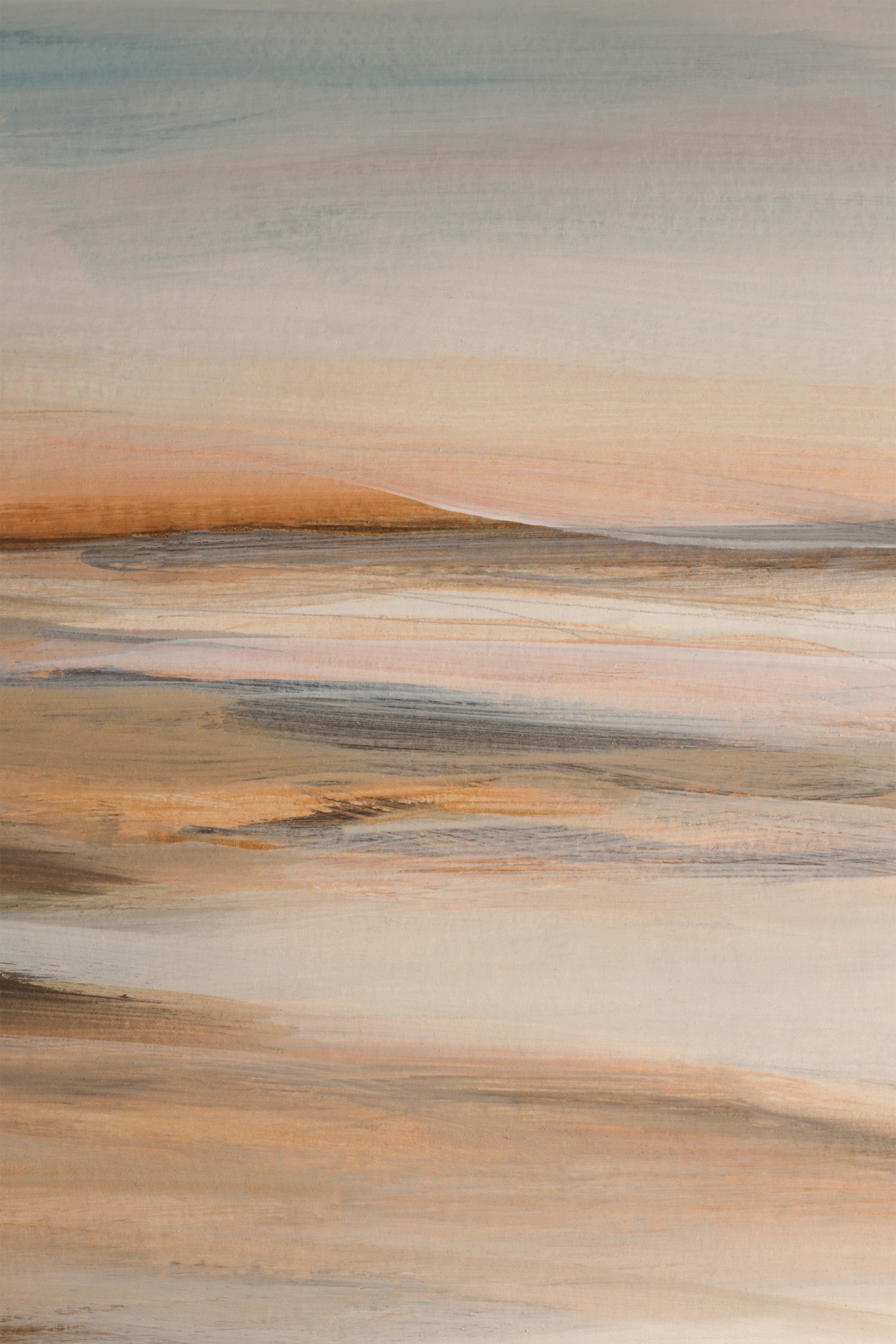 Soft Horizon