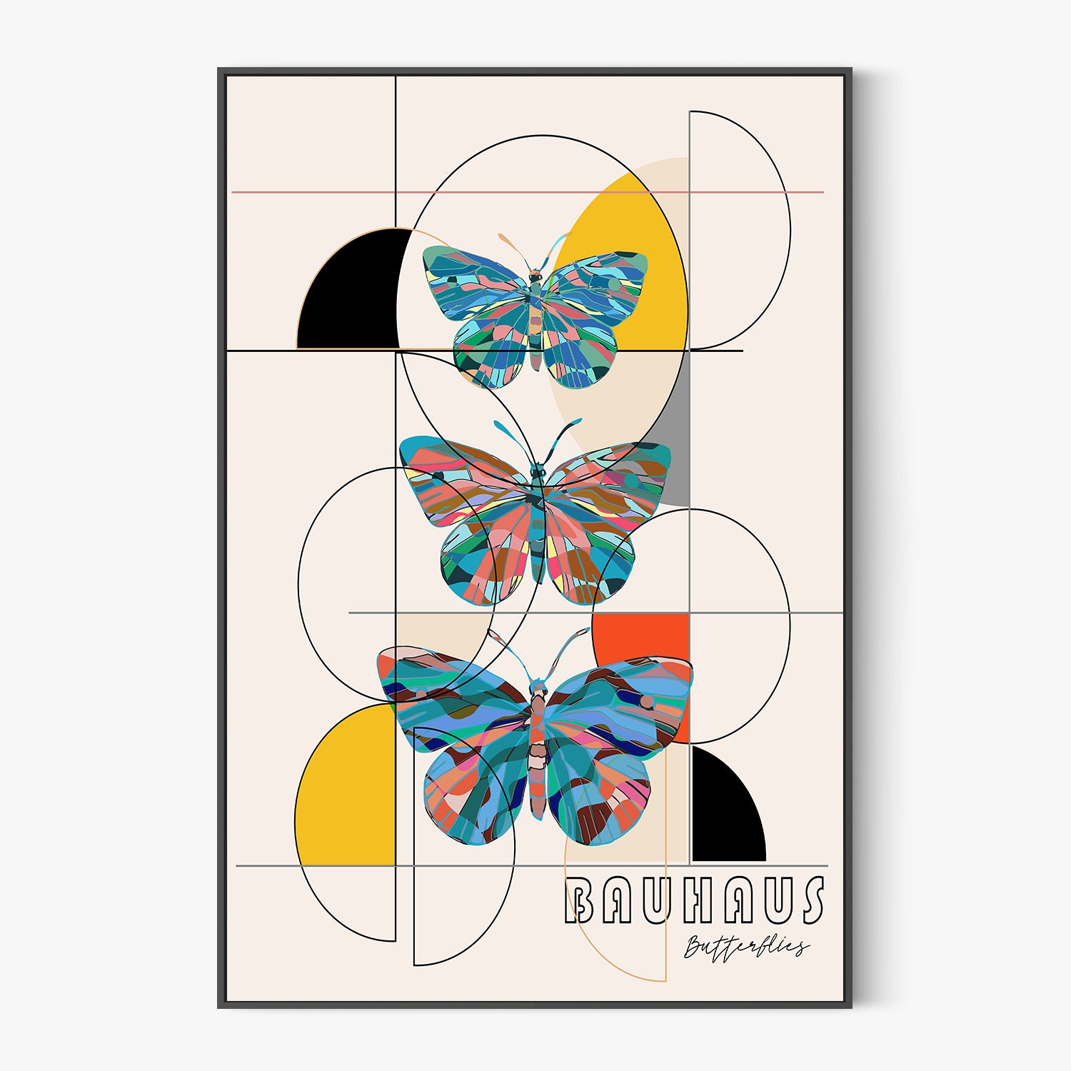 Colorful Geometric Butterflies