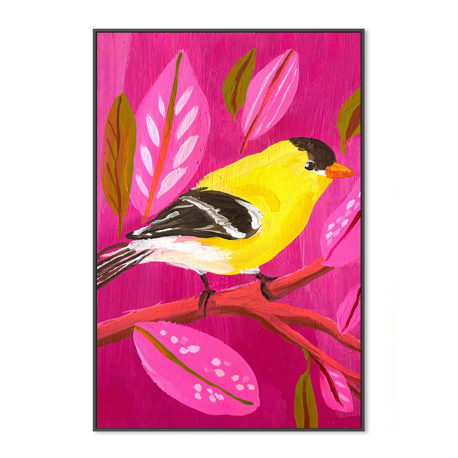 American Goldfinch