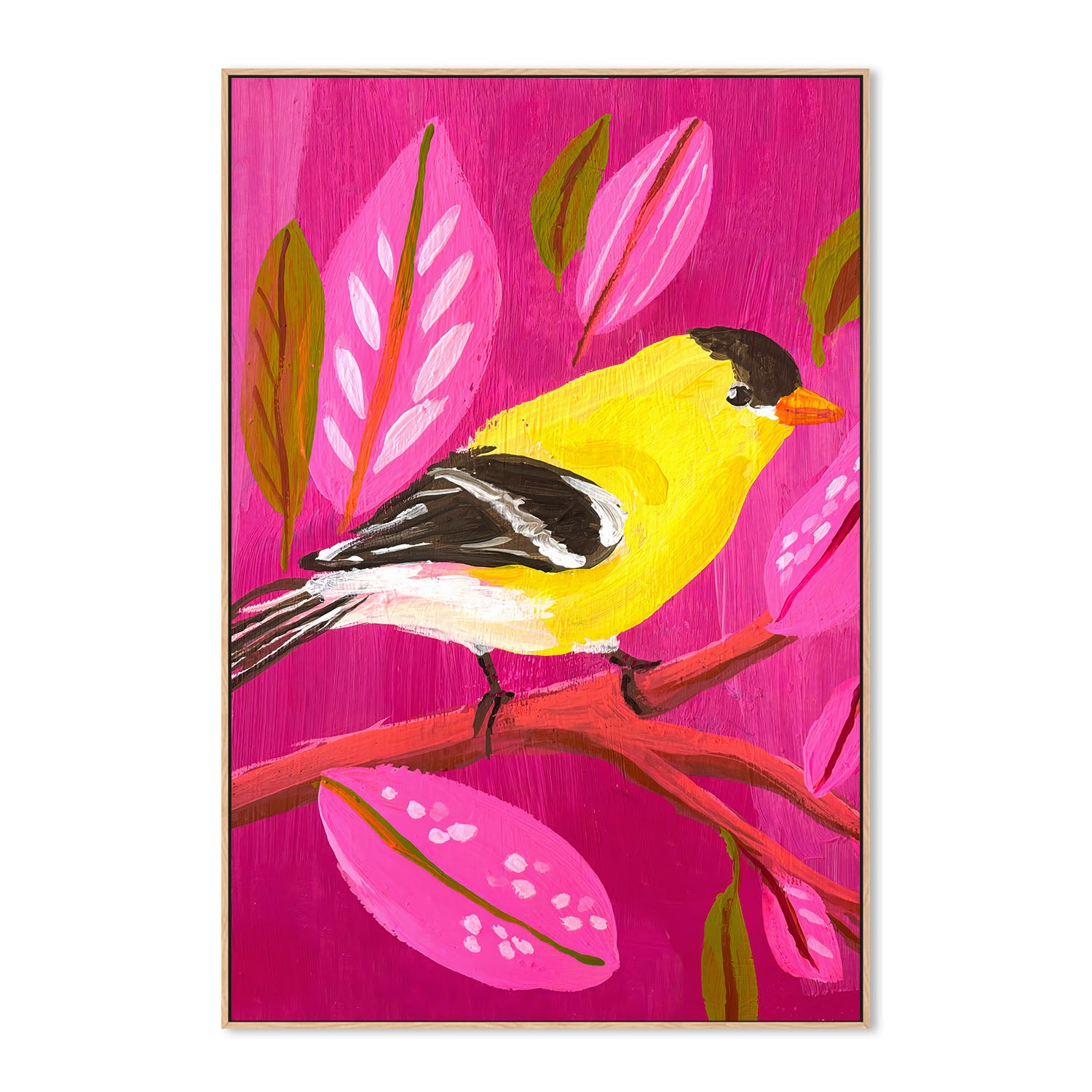American Goldfinch