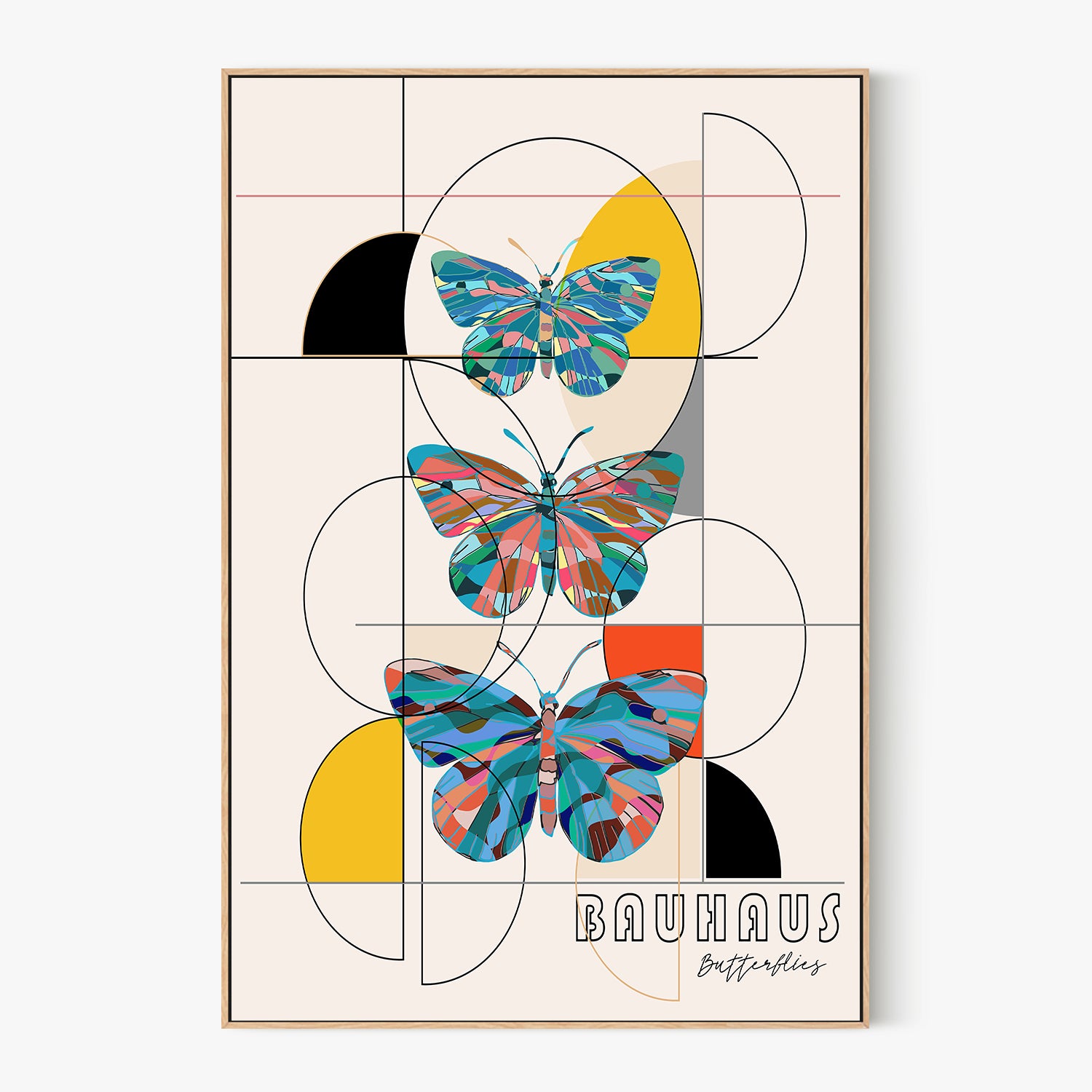 Colorful Geometric Butterflies