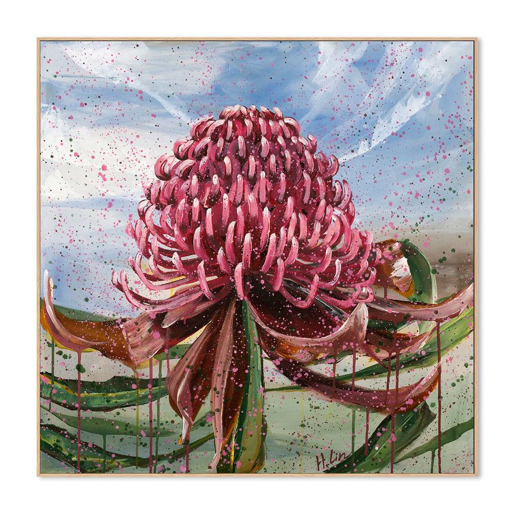 Bright Red Waratah