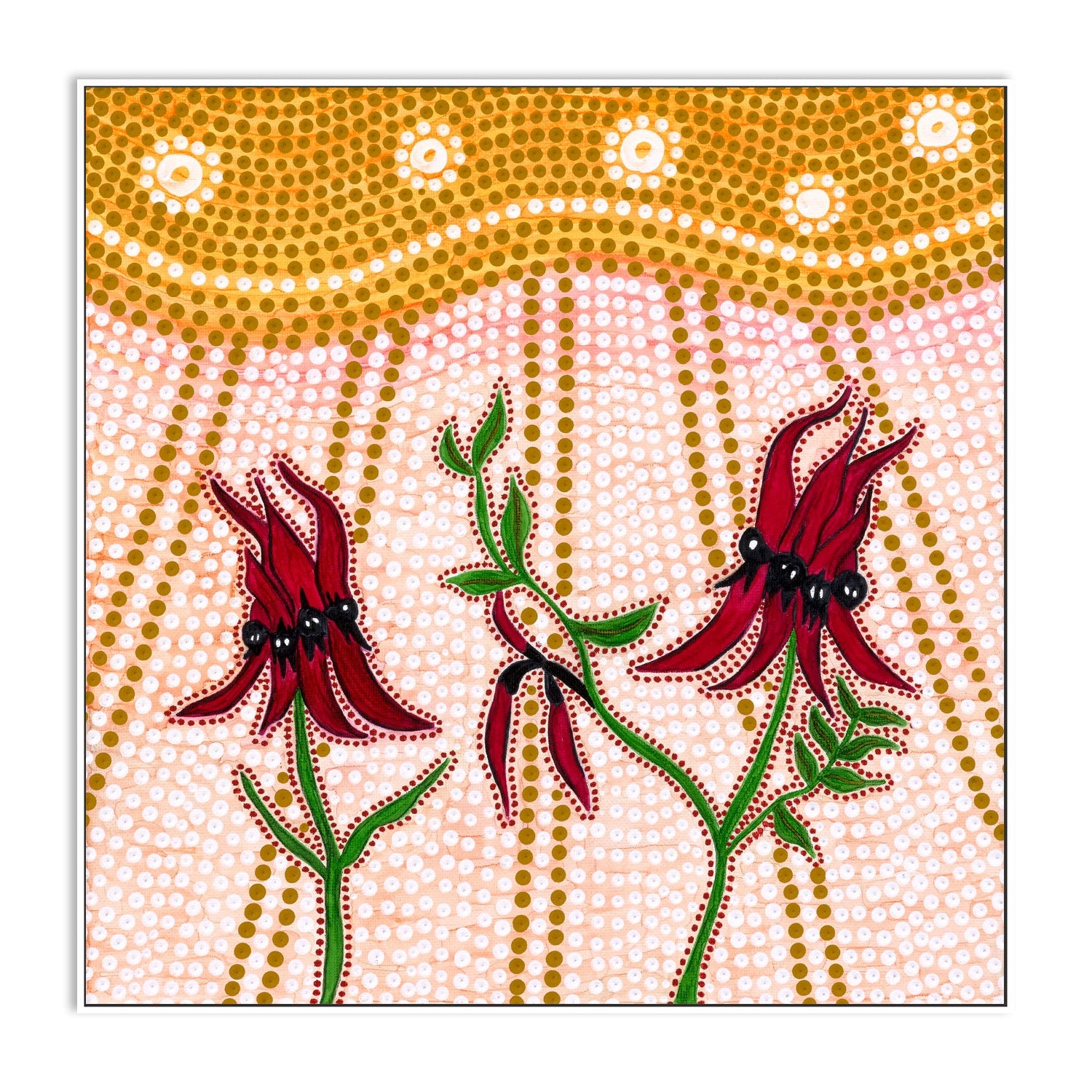 Sturts Desert Peas