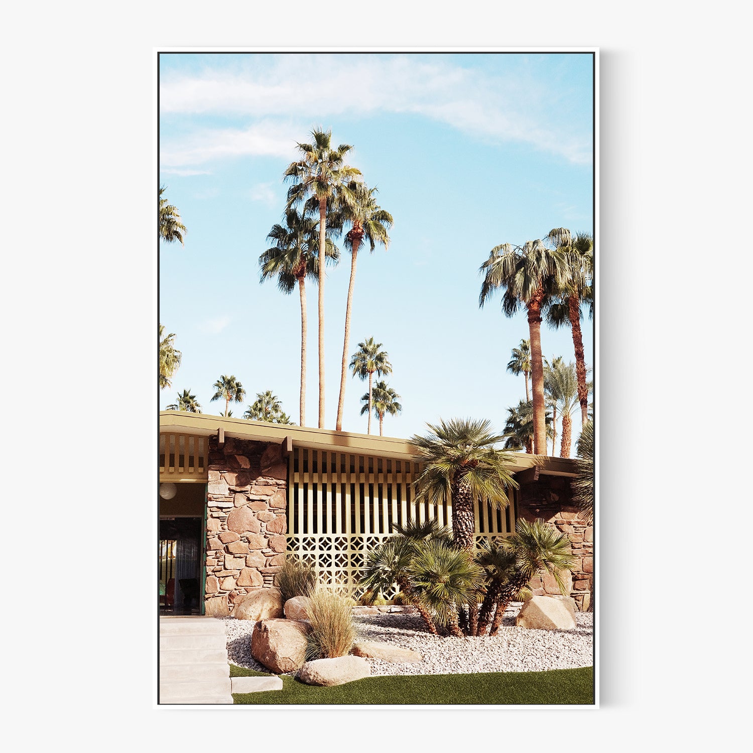 Summer Day At Palm Springs