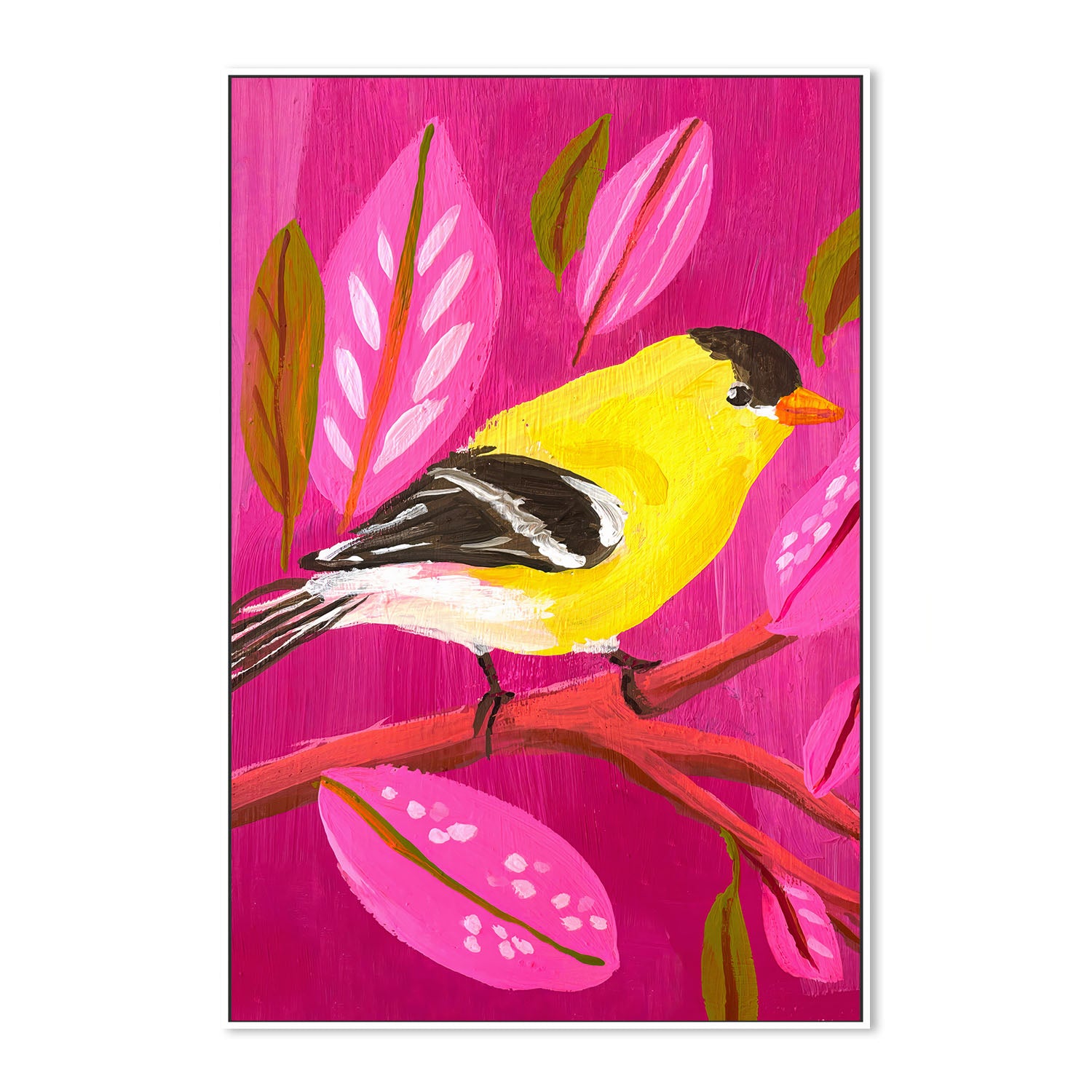 American Goldfinch