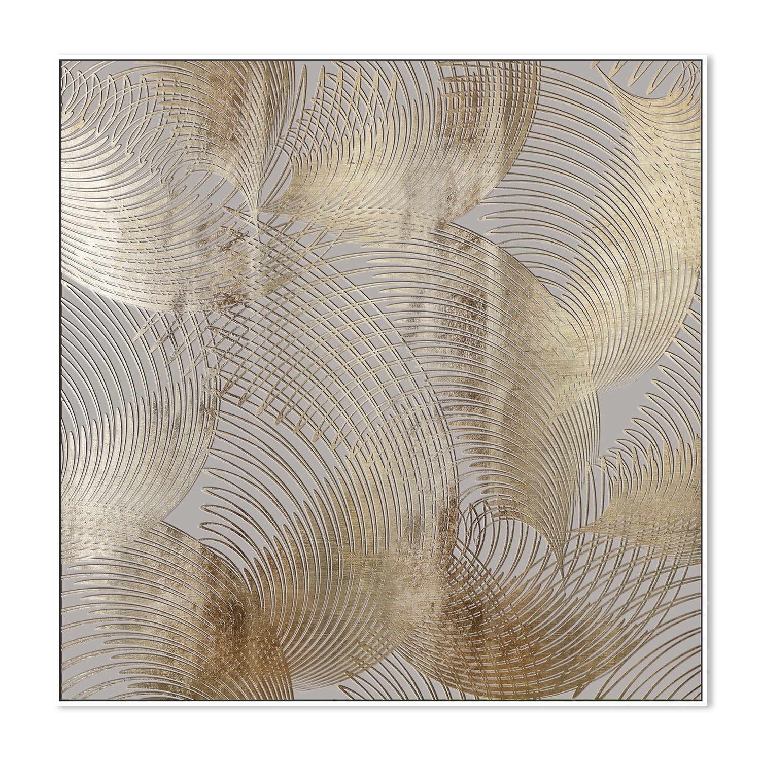 Soft Field