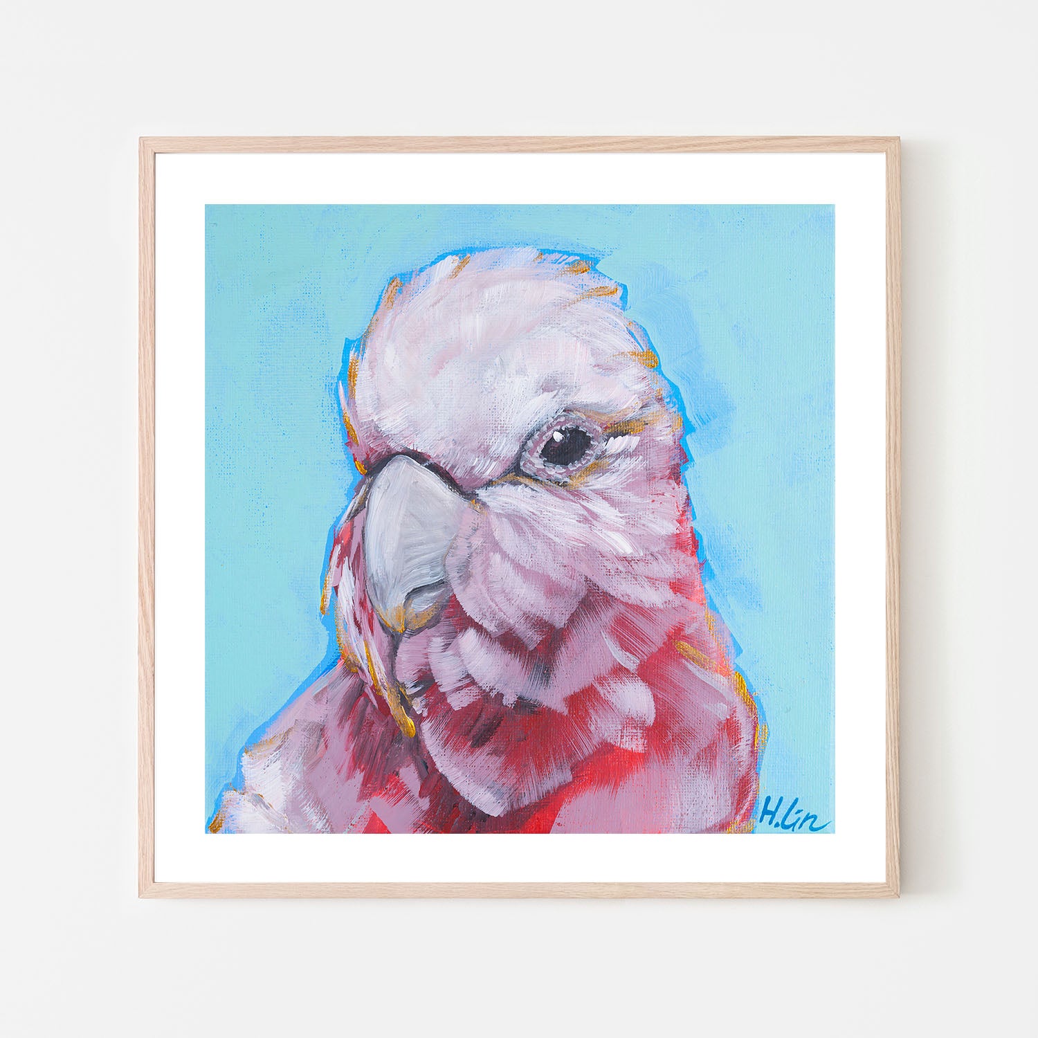Pink Galah