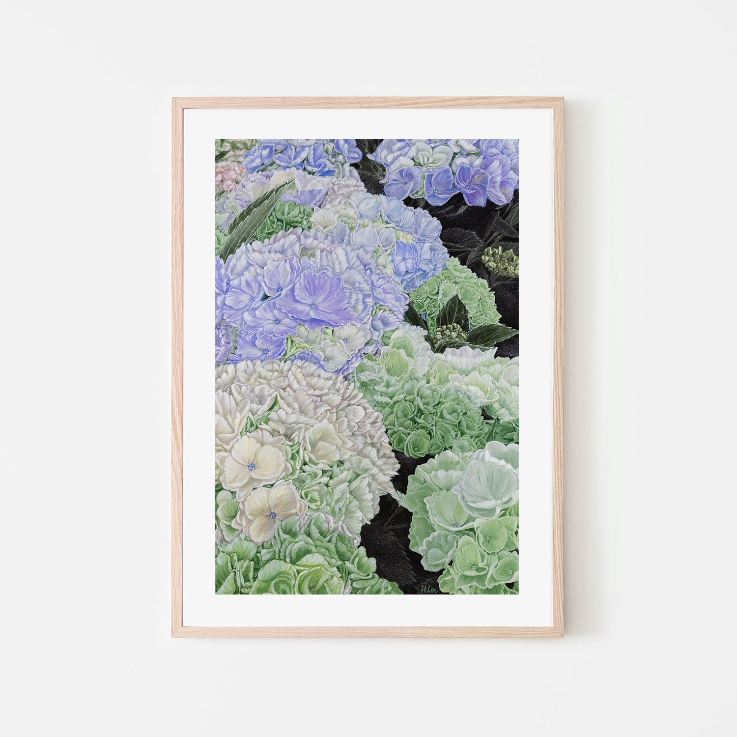Premium Hydrangea
