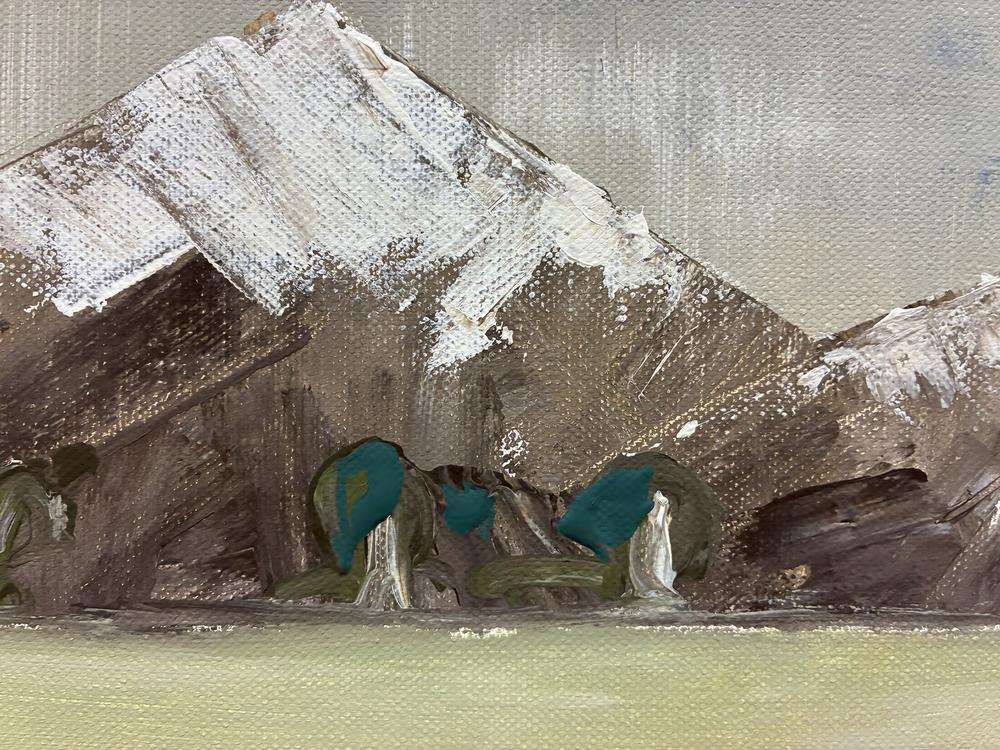 Snowy Mountains Plains