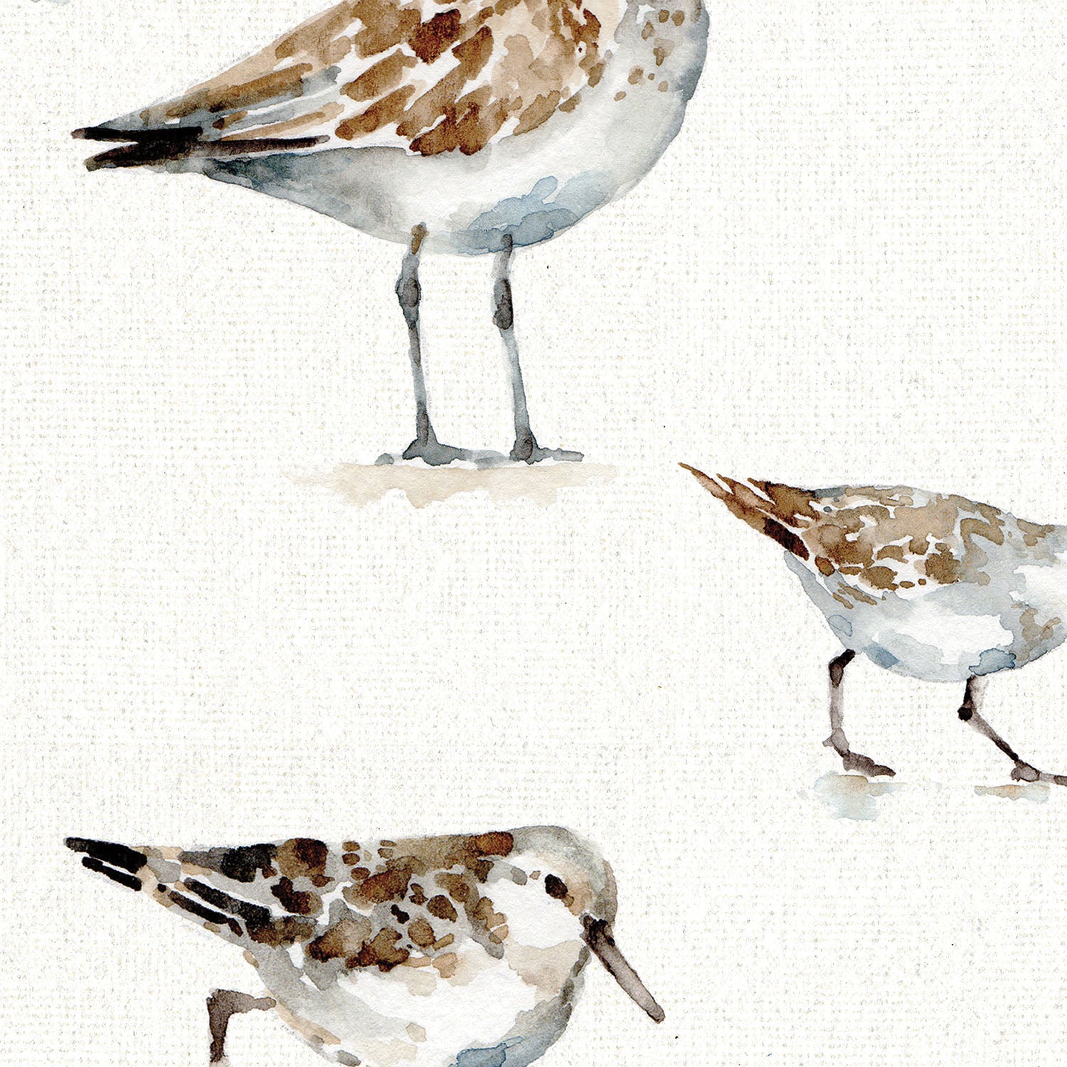 Pebbles and Sandpipers Pattern I