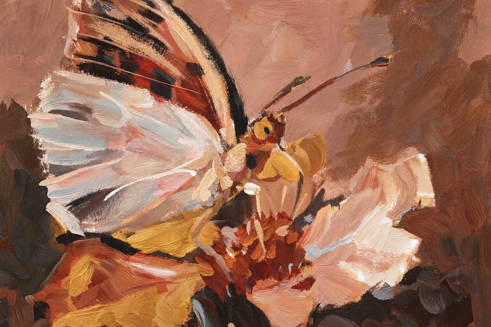 Butterfly on Petal, hand-painted canvas