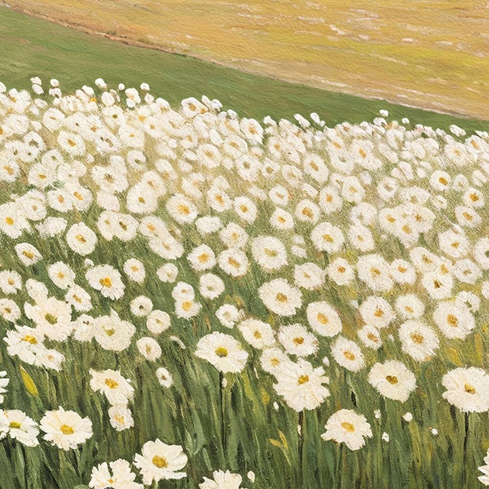 Daisy Field