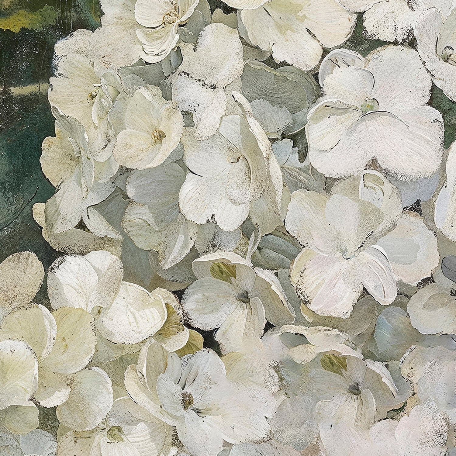 Hydrangeas , By Lady Hana