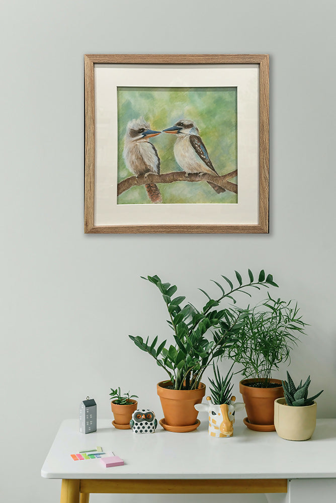 Kookaburras